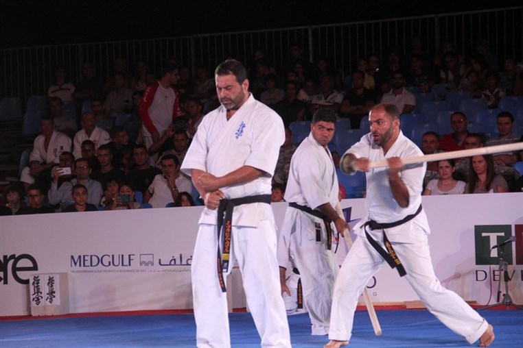 Martial Arts Festival